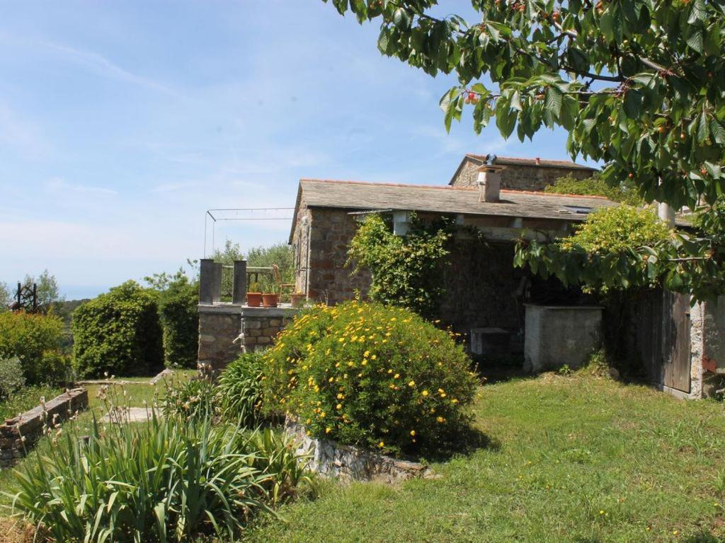 Cottage La Casa Del Pittore Reggimonti Eksteriør bilde
