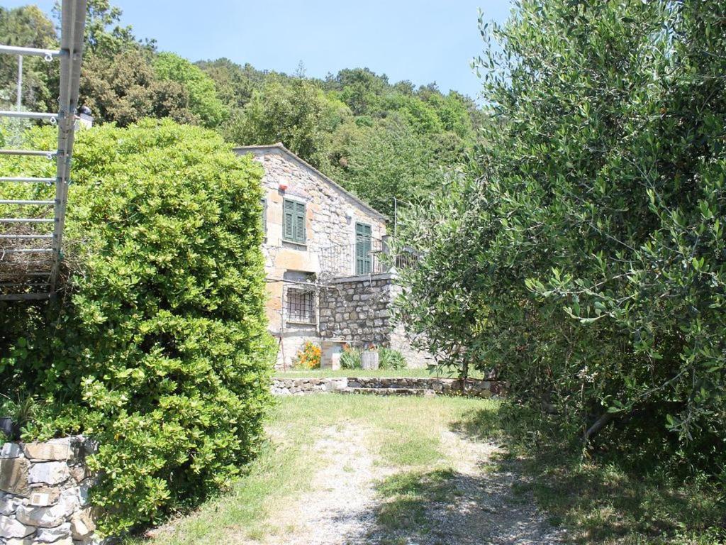 Cottage La Casa Del Pittore Reggimonti Eksteriør bilde