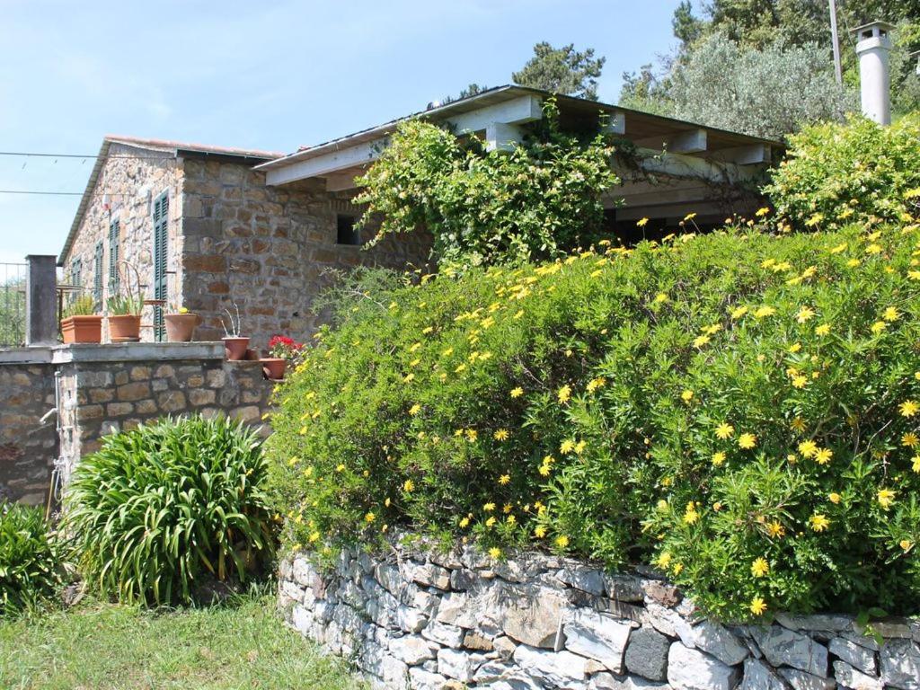 Cottage La Casa Del Pittore Reggimonti Eksteriør bilde